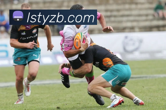 多媒体互动体验